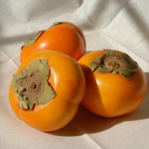 indian persimmon